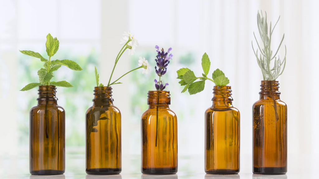 5 Super Interesting Facts About Essential Oils