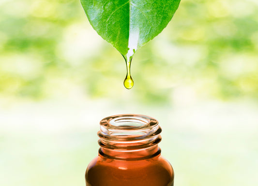 What Are Essential Oils?