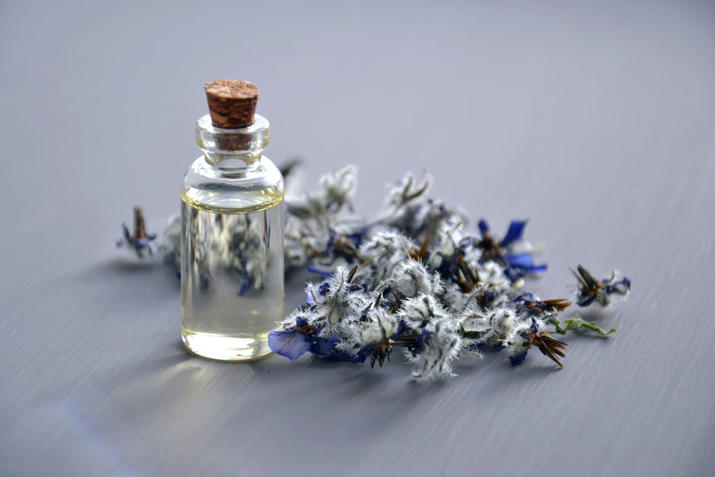 Beginner’s Guide to Essential Oils & Natural Aromas